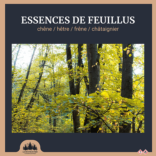 Stères de bois 50cm fendus vrac livrés