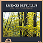 BOX de bois fendu 50cm 2m3 livrée